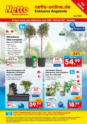 Netto Marken-Discount DE folder (geldig t/m 30-06)