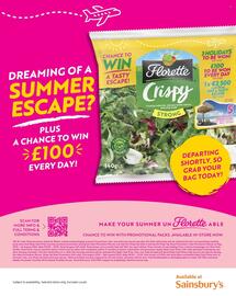 Sainsbury's leaflet Page 59