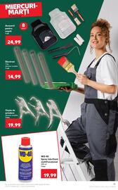 Catalog Kaufland săptămâna 23 Pagină 15