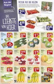 WEZ Prospekt Seite 2