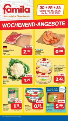 Famila Nord West Prospekt (gültig bis 7-06)