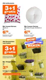 Kwantum folder | Pinksteren Pagina 3