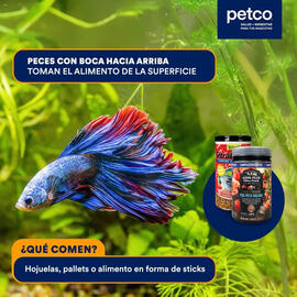 Catálogo Petco Página 2