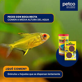 Catálogo Petco Página 3