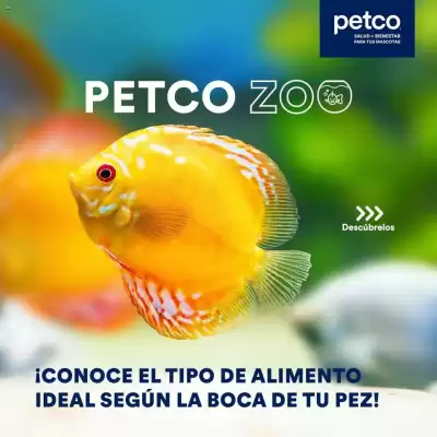 Catálogo Petco
