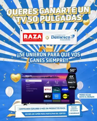 Catálogo Supermercados Damesco (válido hasta 29-06)