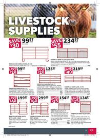Co-op flyer Page 15