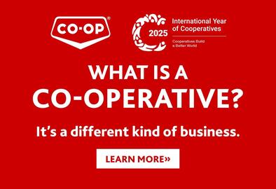 Co-op flyer Page 2