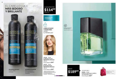 Catálogo Avon Página 103