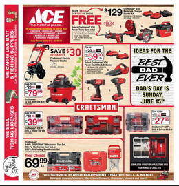 Ace Hardware Weekly Ad Page 4