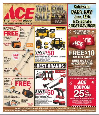 Ace Hardware Weekly Ad (valid until 16-06)