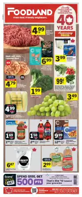 Foodland flyer (valid until 10-06)