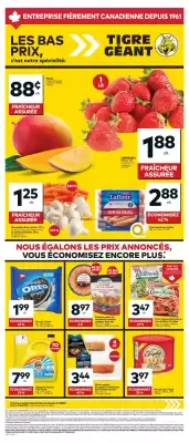 Giant Tiger flyer (valid until 10-06)