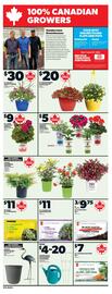 Loblaws flyer week 23 Page 17