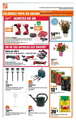 Home Depot flyer (valid until 10-06)