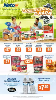 Catálogo Tiendas Neto (válido hasta 25-06)