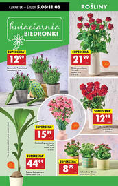 Biedronka gazetka tydzień 23 Strona 65