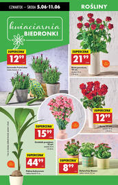 Biedronka gazetka tydzień 23 Strona 66