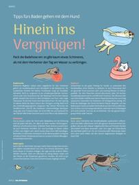Das Futterhaus Flugblatt Seite 12