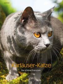 Das Futterhaus Flugblatt Seite 22