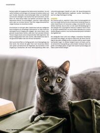 Das Futterhaus Flugblatt Seite 24