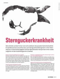 Das Futterhaus Flugblatt Seite 27