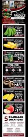 T-Bone's flyer Page 4