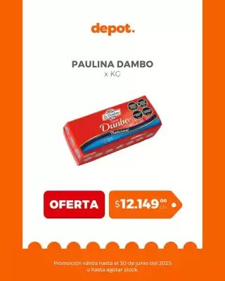 Catálogo Depot Express (válido hasta 30-06)
