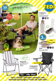 TEDi Flugblatt Seite 23