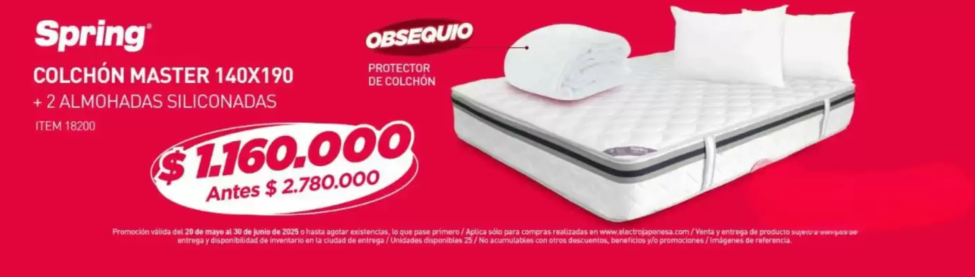 Catálogo Electrojaponesa (válido hasta 30-06)