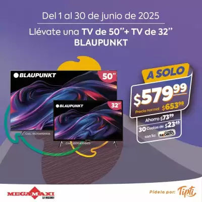 Catálogo Megamaxi (válido hasta 30-06)