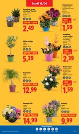 Catalogue Lidl semaine 24 page 28