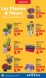 Catalogue Lidl semaine 24 page 28