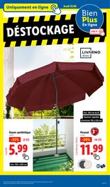 Catalogue Lidl semaine 24 page 42
