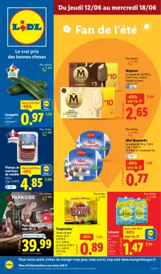 Catalogue Lidl (valable jusqu'au 18-06)