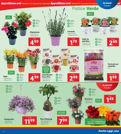 Volantino Lidl settimana 24 Pagina 16