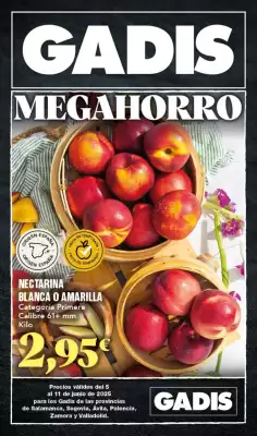 Folleto Gadis (válido hasta el 11-06)