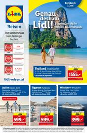 Lidl Reisen Flugblatt Seite 1