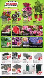 B1 Discount Baumarkt Prospekt woche 23 Seite 5