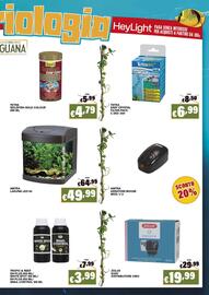 Volantino Zoomiguana Pagina 11