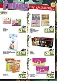 Volantino Zoomiguana Pagina 7