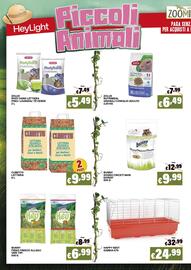 Volantino Zoomiguana Pagina 8