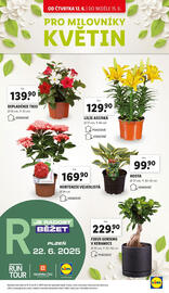 Lidl leták Strana 45