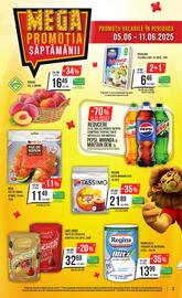 Catalog Mega Image săptămâna 23 Pagină 3