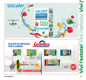 Volantino Interspar | Vivi l'estate! Pagina 13