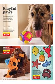 Aldi leaflet Page 12