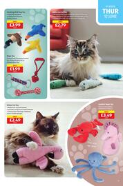 Aldi leaflet Page 13