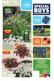 Aldi leaflet Page 23