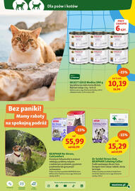 Maxi Zoo gazetka tydzień 23 Strona 13