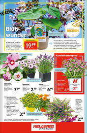 Hellweg Flugblatt woche 23 Seite 12